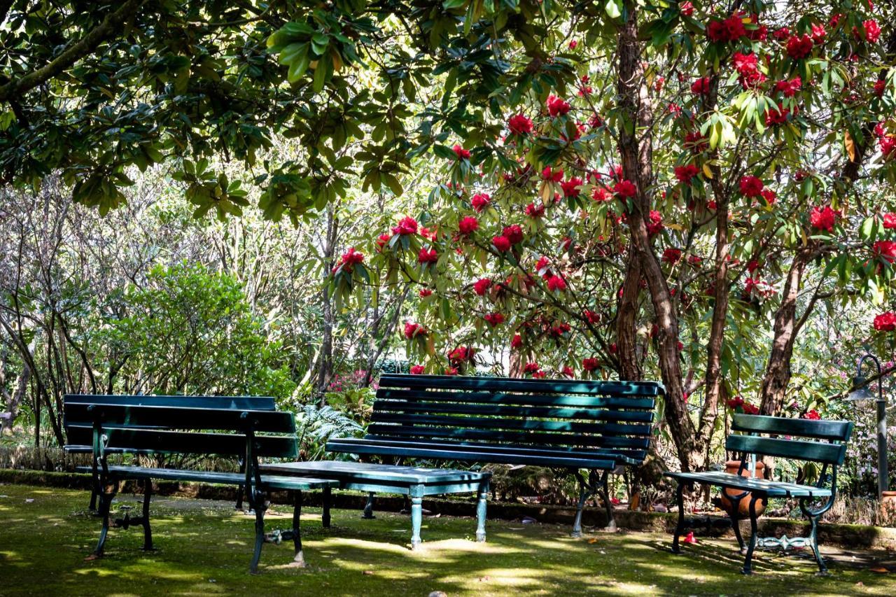 Гостьовий будинок Quinta De Mouraes Casa Dos Rododendros Lever Екстер'єр фото