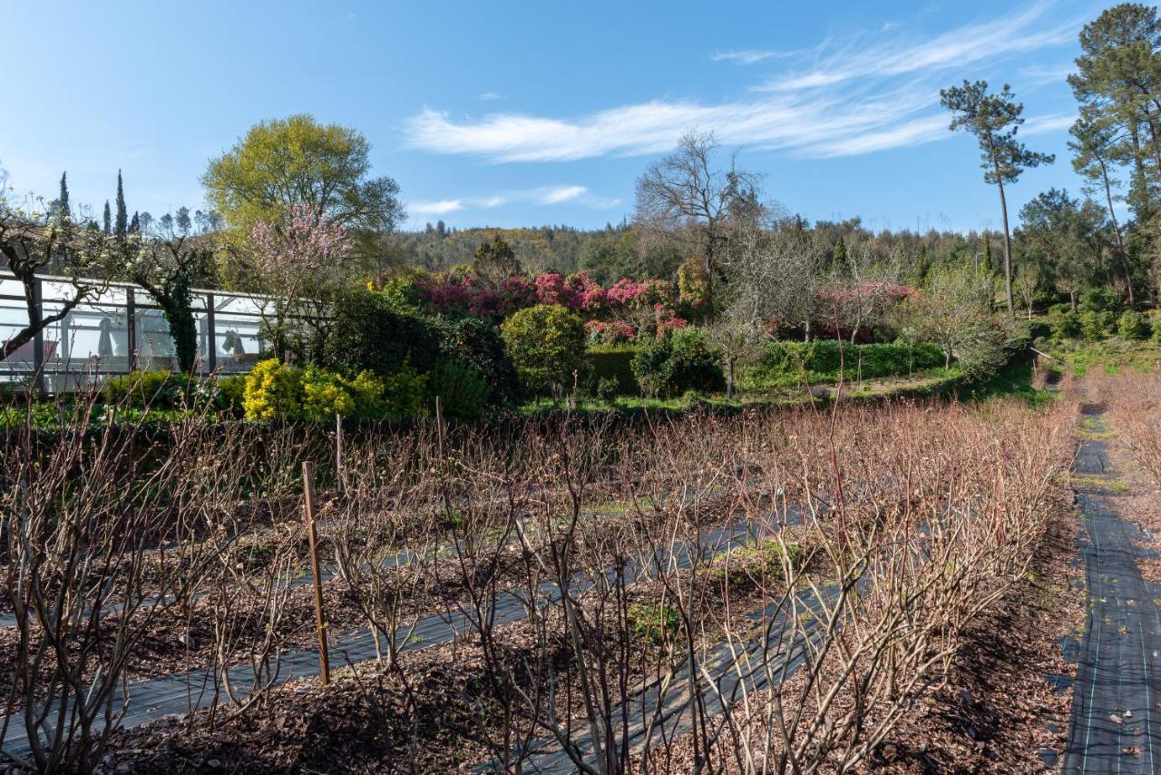 Гостьовий будинок Quinta De Mouraes Casa Dos Rododendros Lever Екстер'єр фото