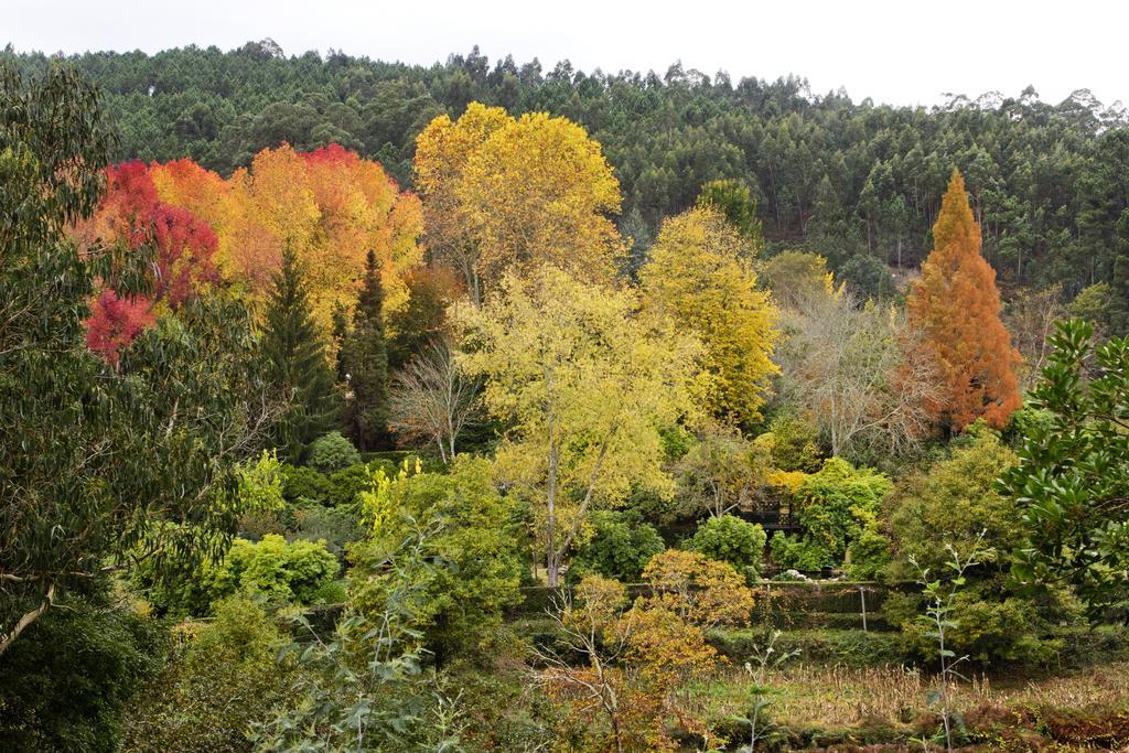 Гостьовий будинок Quinta De Mouraes Casa Dos Rododendros Lever Екстер'єр фото