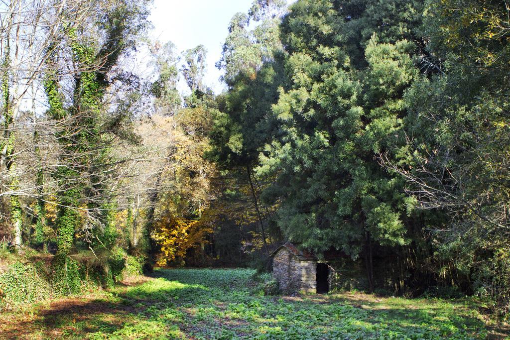 Гостьовий будинок Quinta De Mouraes Casa Dos Rododendros Lever Екстер'єр фото
