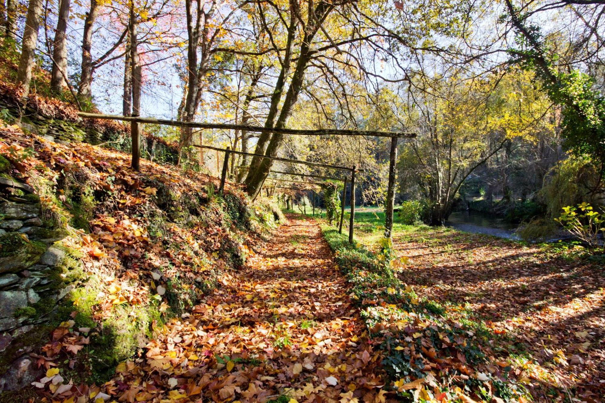 Гостьовий будинок Quinta De Mouraes Casa Dos Rododendros Lever Екстер'єр фото