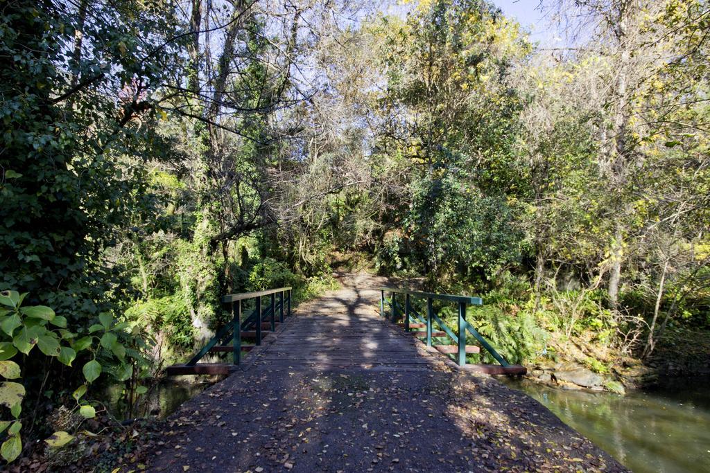 Гостьовий будинок Quinta De Mouraes Casa Dos Rododendros Lever Екстер'єр фото